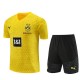 BVB Borussia Dortmund Tréninkový Dres Soupravy 2023-24 - Yelow
