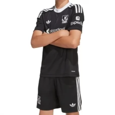 Dětské Fotbalové Dresy Liverpool Brankářské Alternativní 2025-26