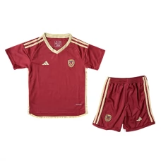 Dětský Fotbalové Dresy Venezuela Domácí Copa América 2024