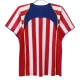 Fotbalové Dresy Atlético Madrid Domácí Retro 2004-05