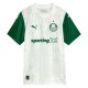 Fotbalové Dresy Palmeiras Venkovní 2025-26