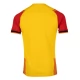 Fotbalové Dresy RC Lens Domácí 2023-24
