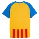 Fotbalové Dresy Valencia CF Alternativní 2025-26