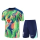 Tréninkový Dres Souprava Brazílie Dětský 2025-26 - Shorts Zelená